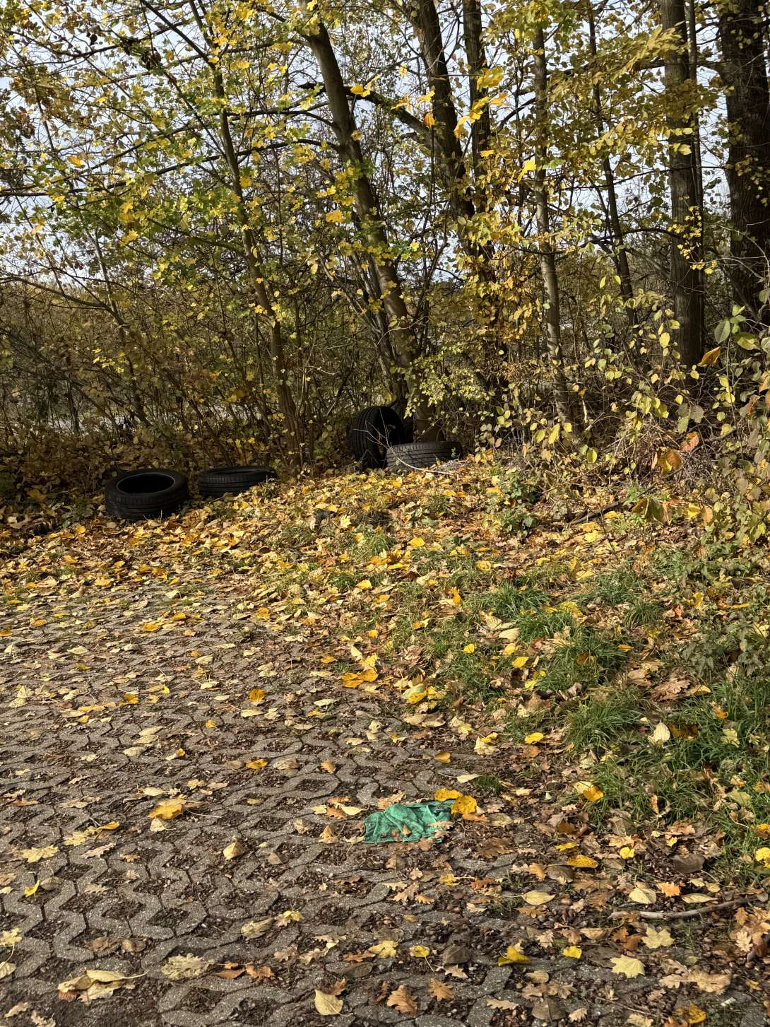 Bild zu gemeldetem Anliegen vom *2025-11-03 14:09:19