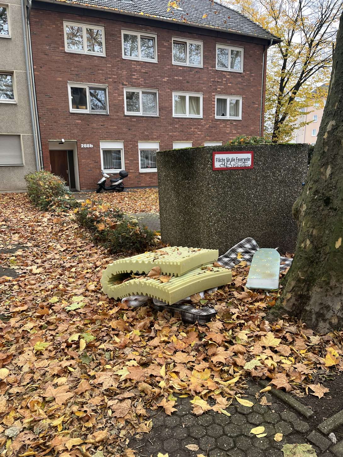 Bild zu gemeldetem Anliegen vom *2025-11-03 09:49:26