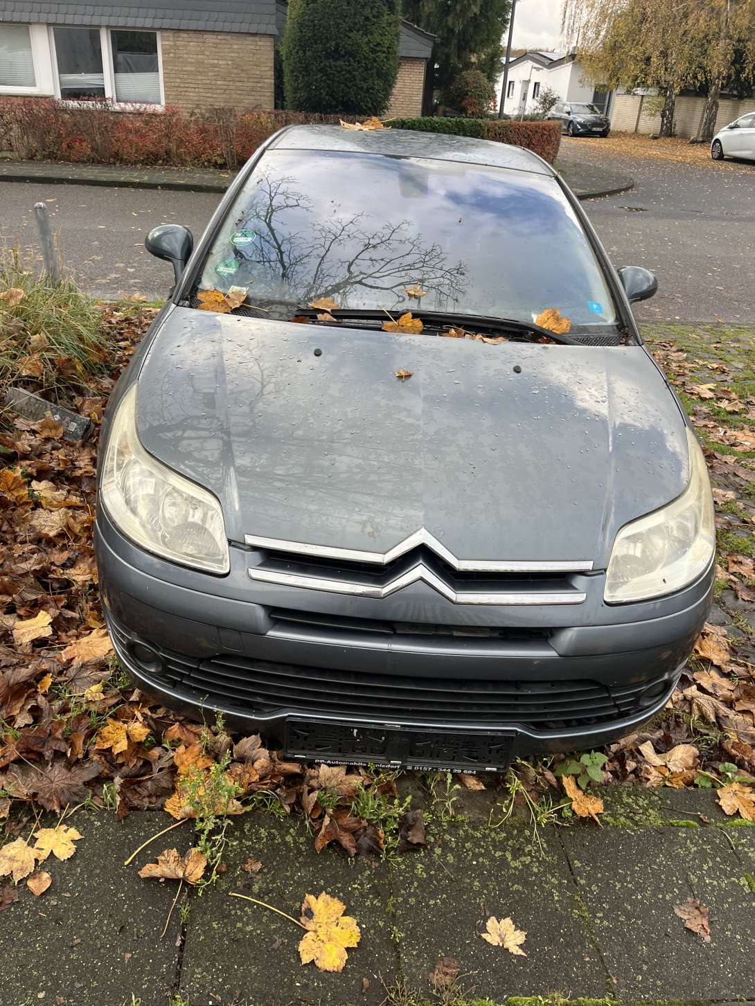 Bild zu gemeldetem Anliegen vom *2025-11-17 12:35:25