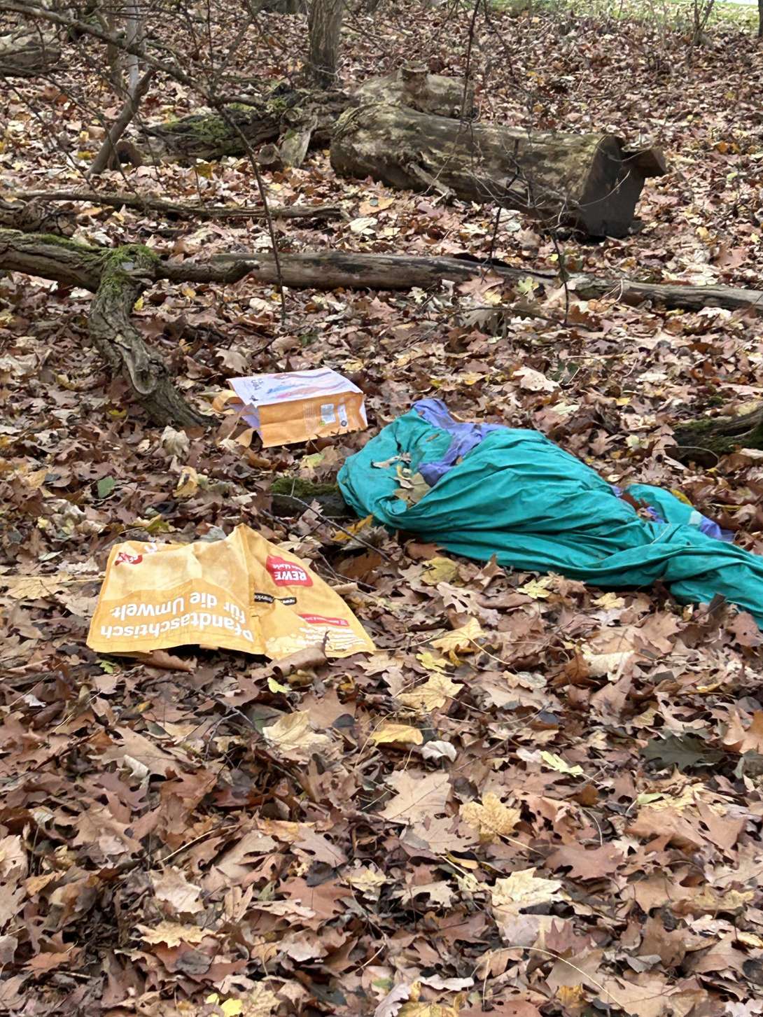 Bild zu gemeldetem Anliegen vom *2025-11-27 10:13:28