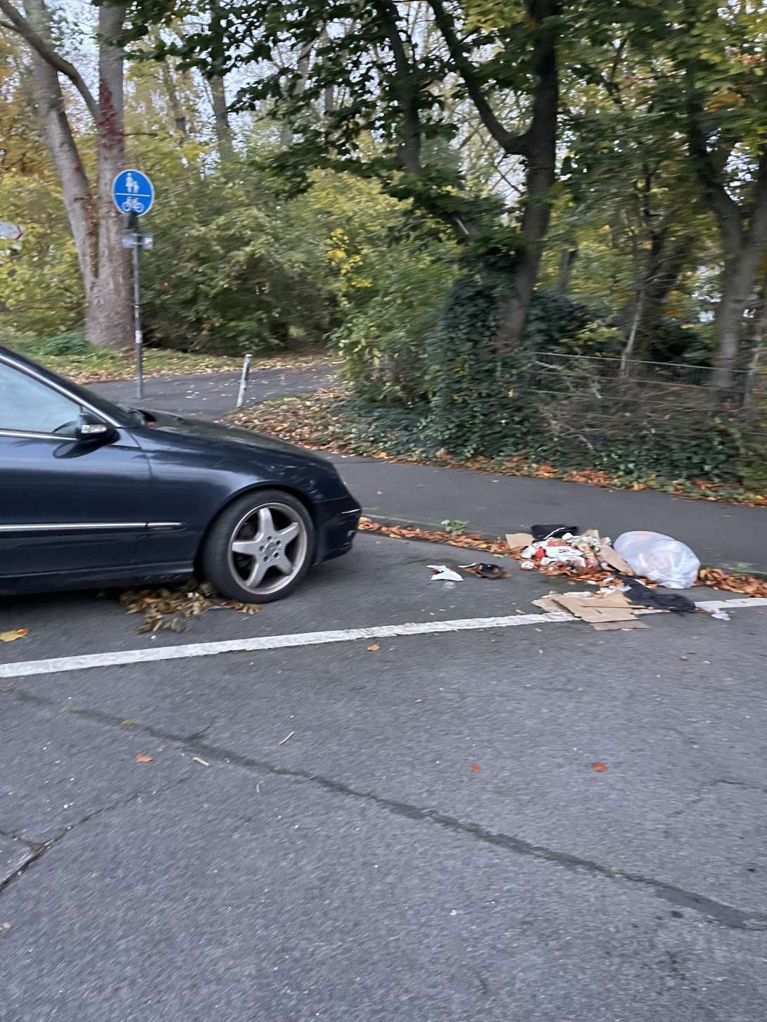 Bild zu gemeldetem Anliegen vom *2025-11-04 08:50:44