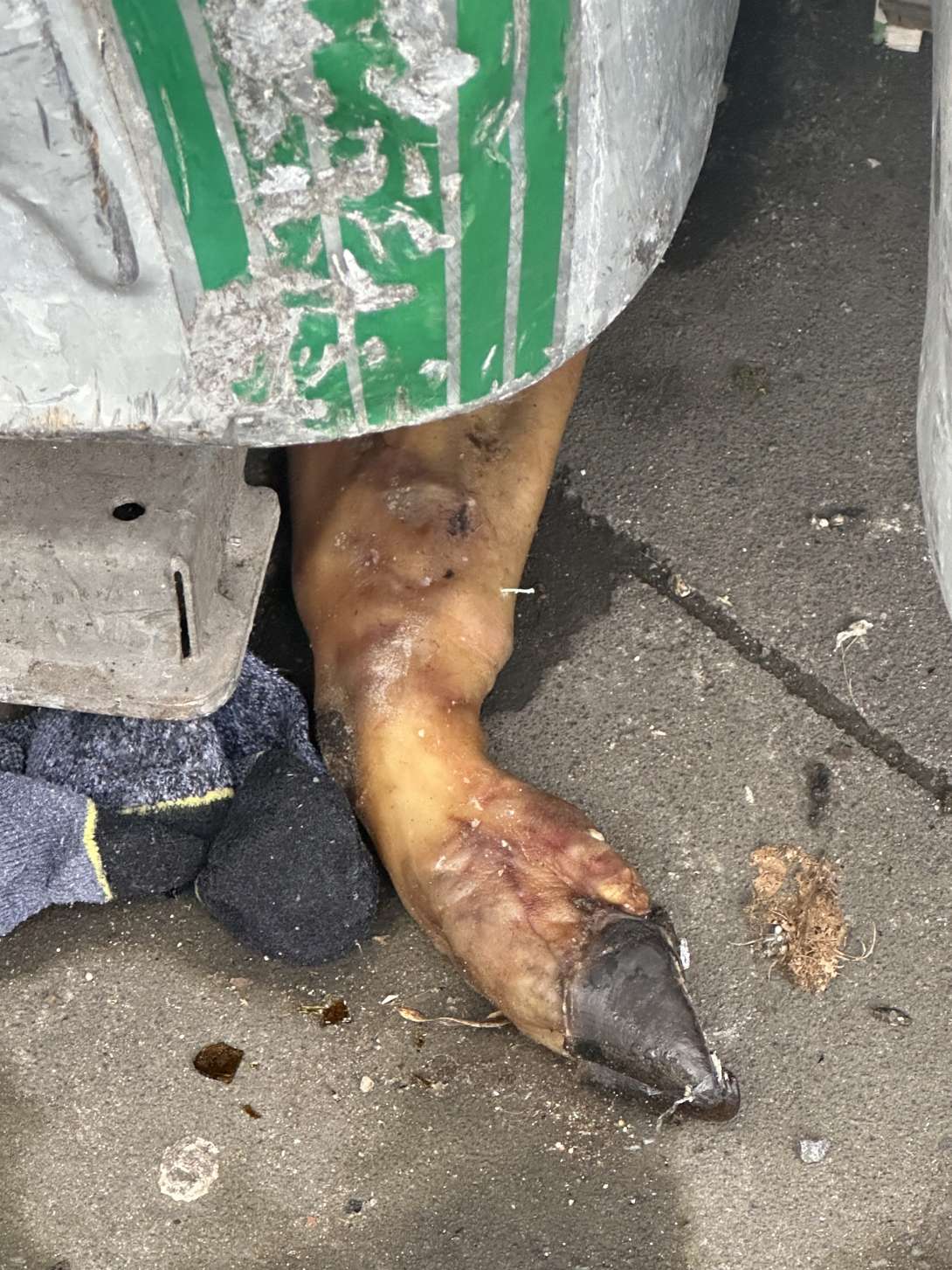 Bild zu gemeldetem Anliegen vom *2025-11-02 15:07:29