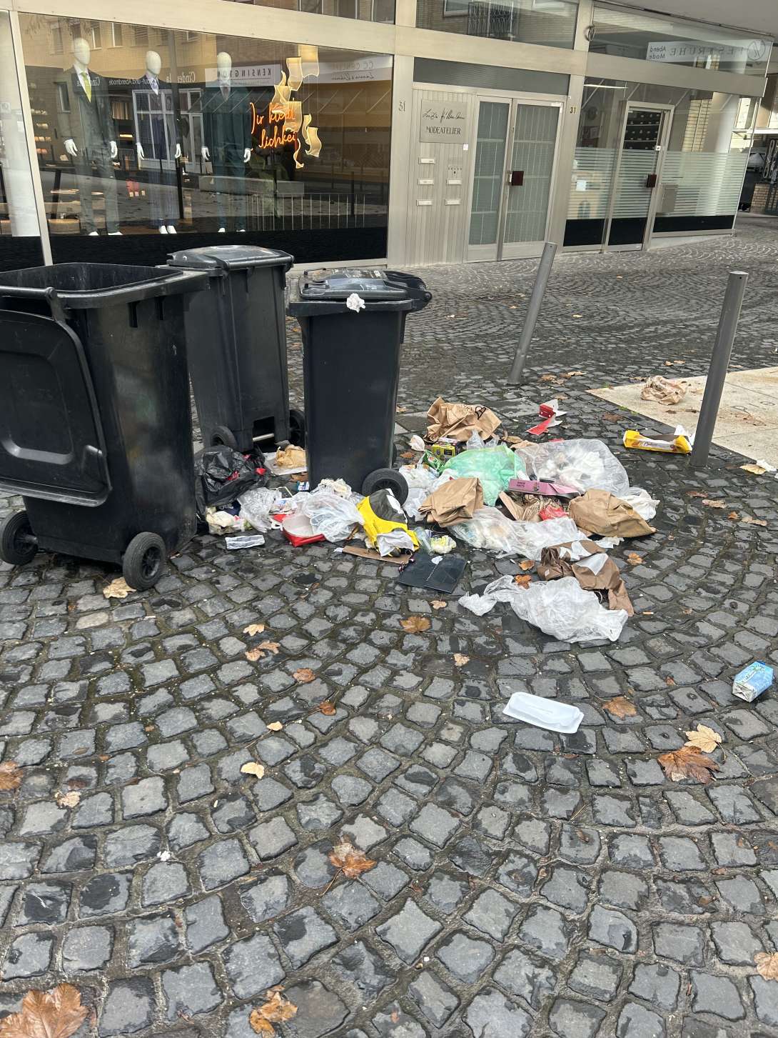 Bild zu gemeldetem Anliegen vom *2025-11-17 14:45:23