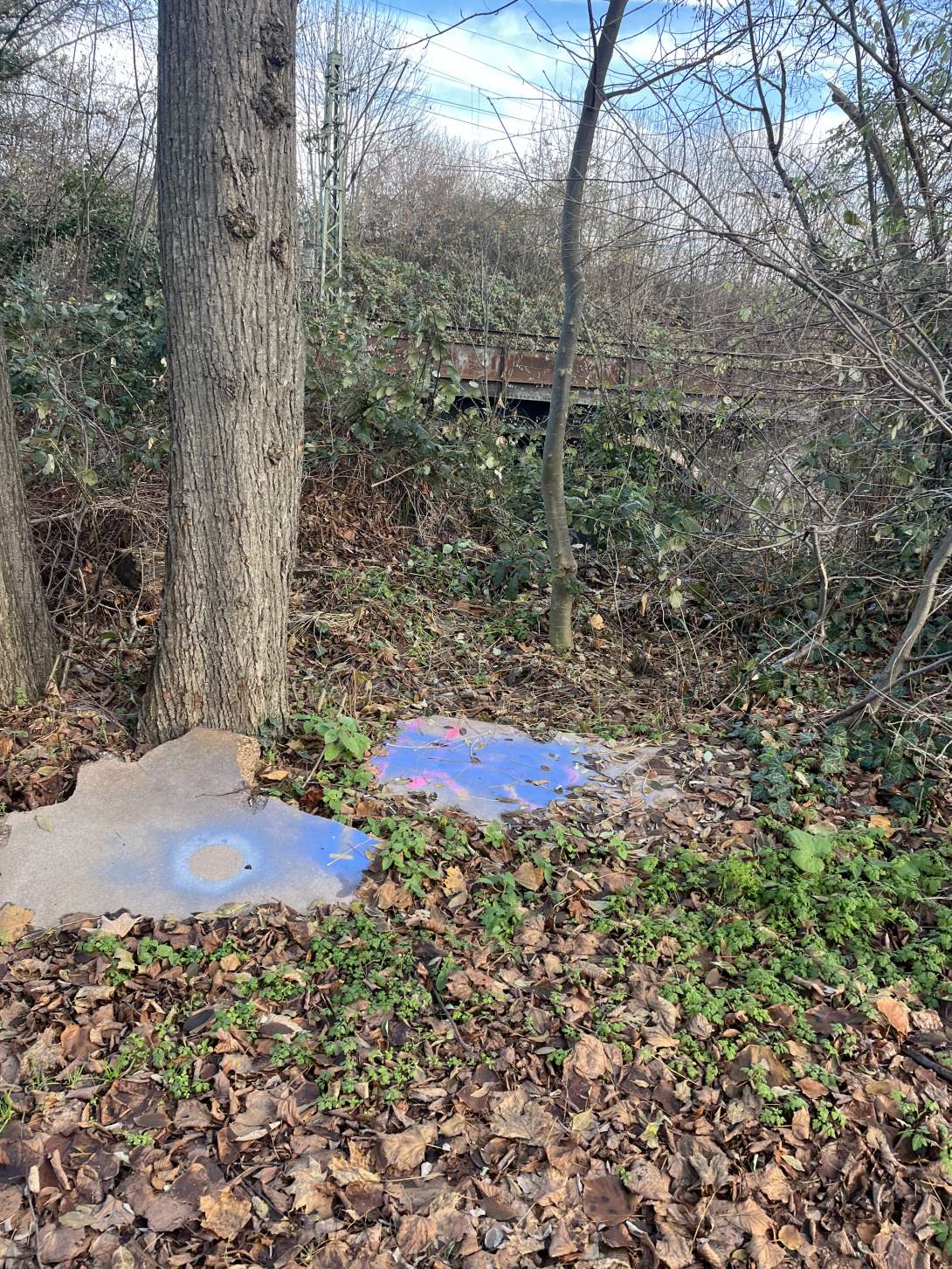 Bild zu gemeldetem Anliegen vom *2025-11-23 12:35:59