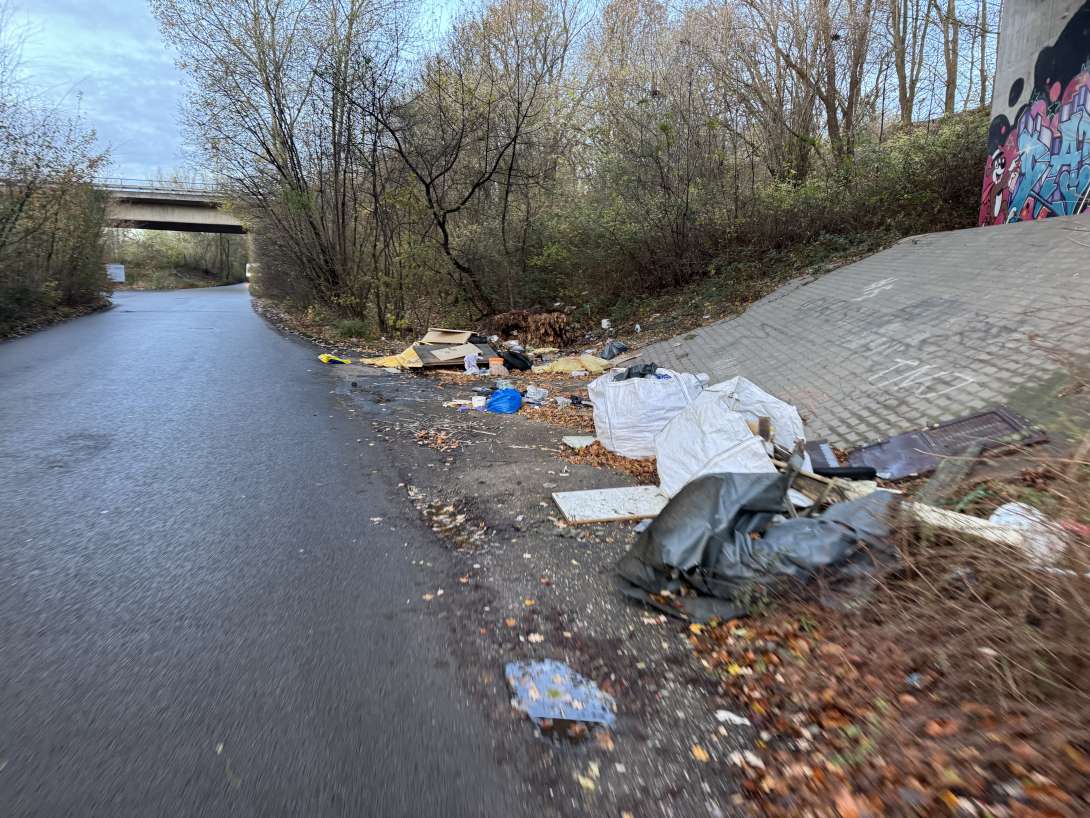 Bild zu gemeldetem Anliegen vom *2025-11-24 15:32:47