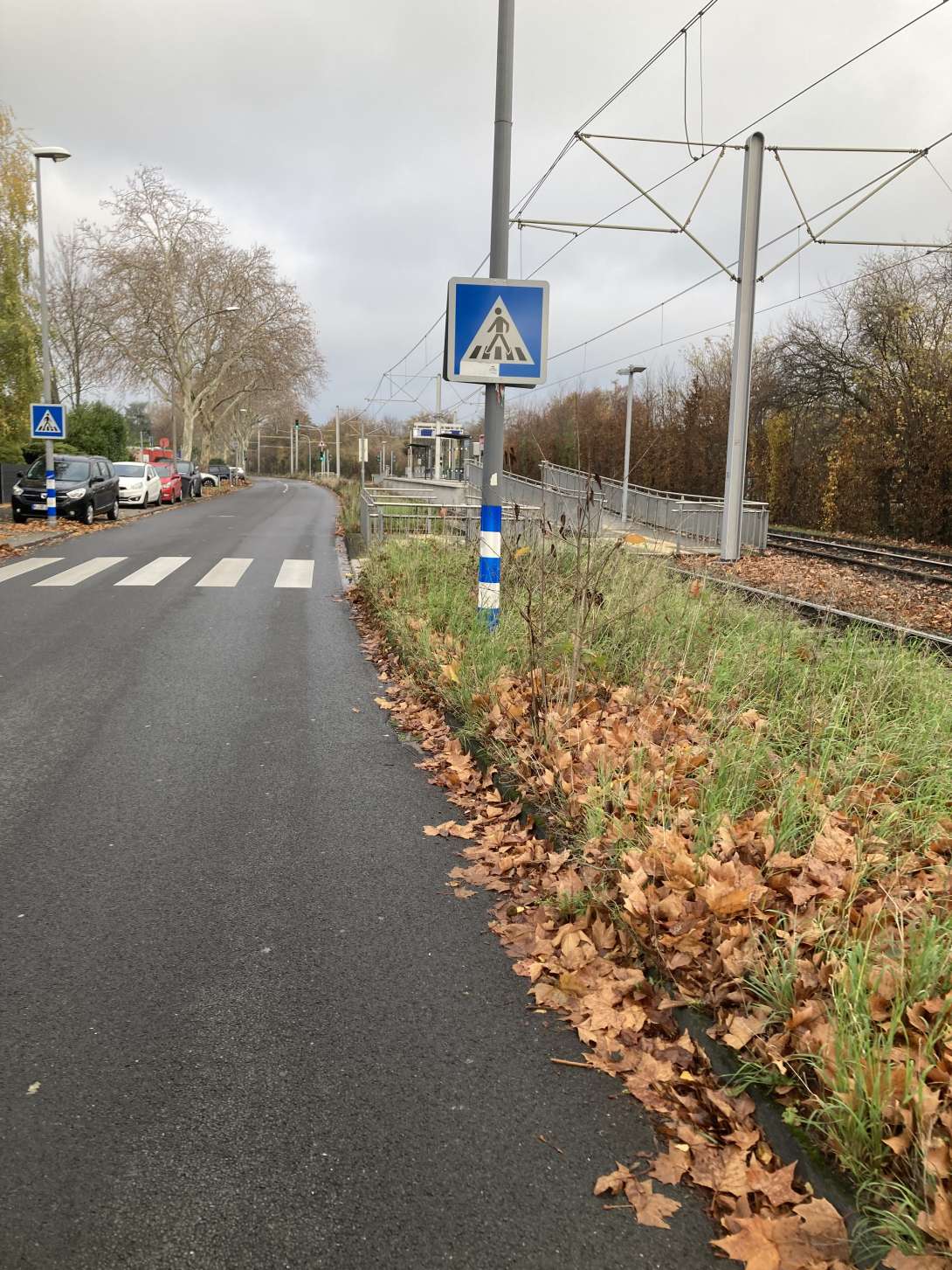 Bild zu gemeldetem Anliegen vom *2025-11-20 18:28:56