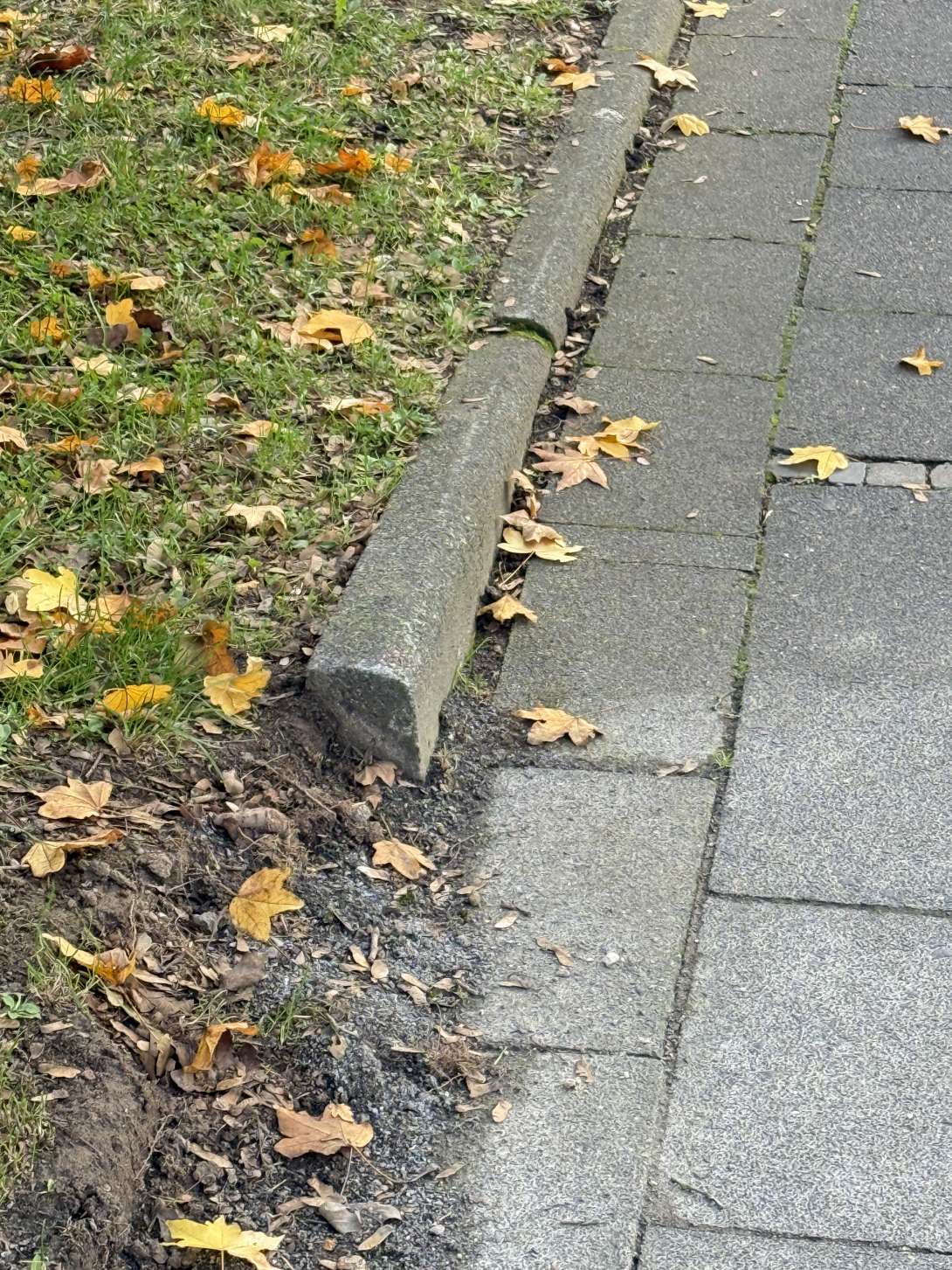 Bild zu gemeldetem Anliegen vom *2025-11-04 13:24:11