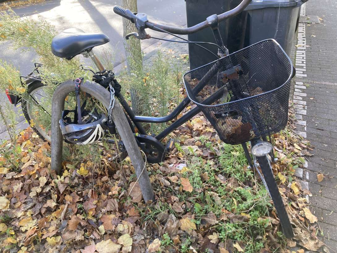 Bild zu gemeldetem Anliegen vom *2025-11-10 13:26:48