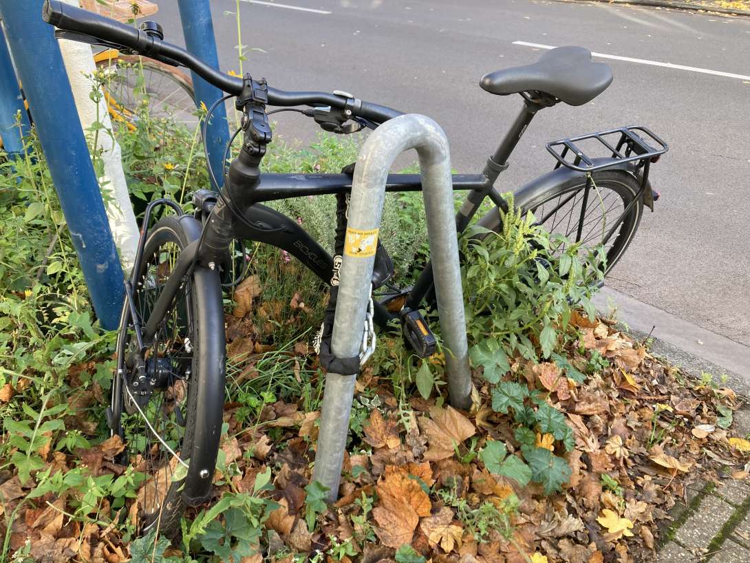 Bild zu gemeldetem Anliegen vom *2025-11-10 13:24:02