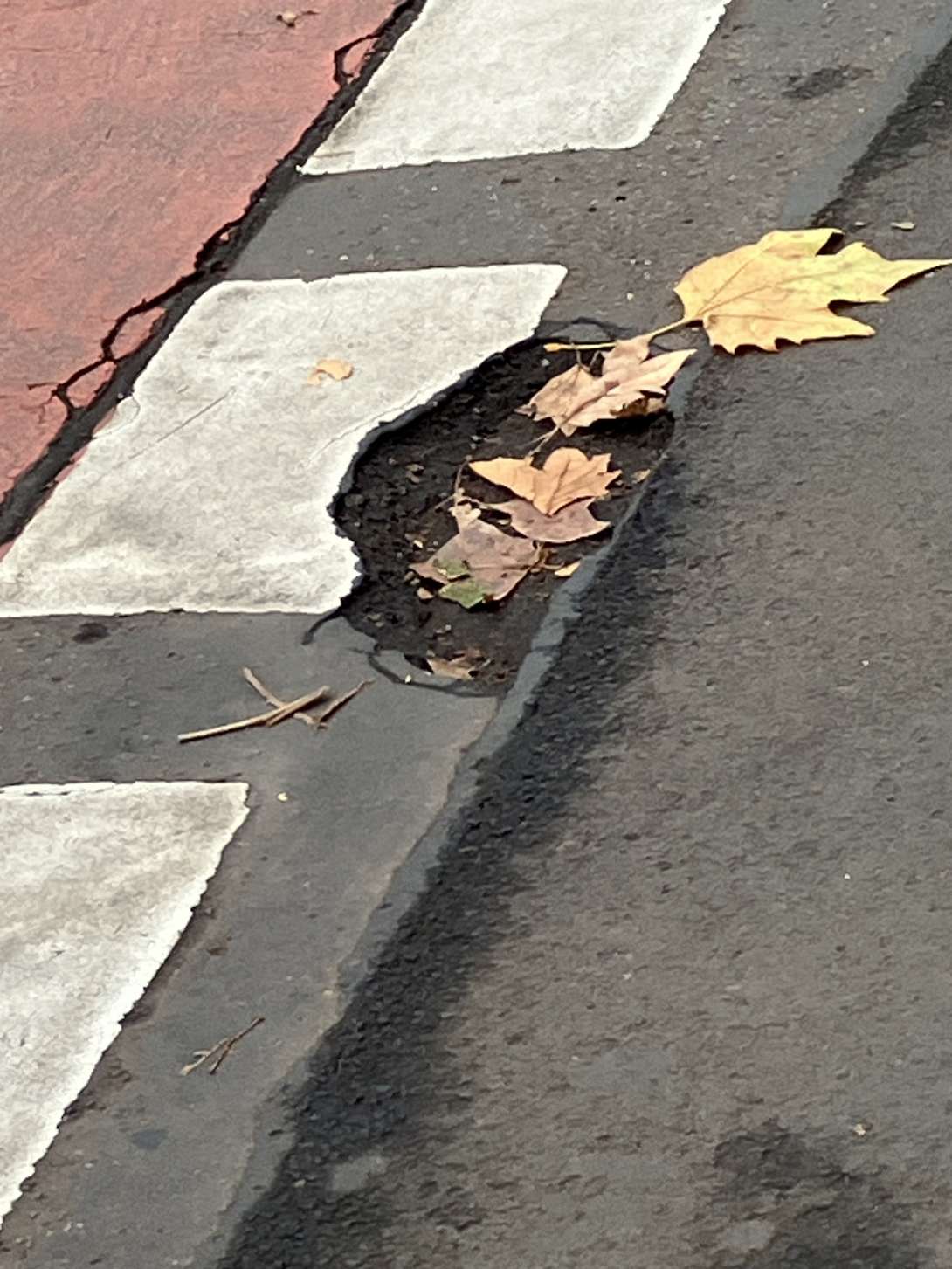 Bild zu gemeldetem Anliegen vom *2025-11-26 15:15:07