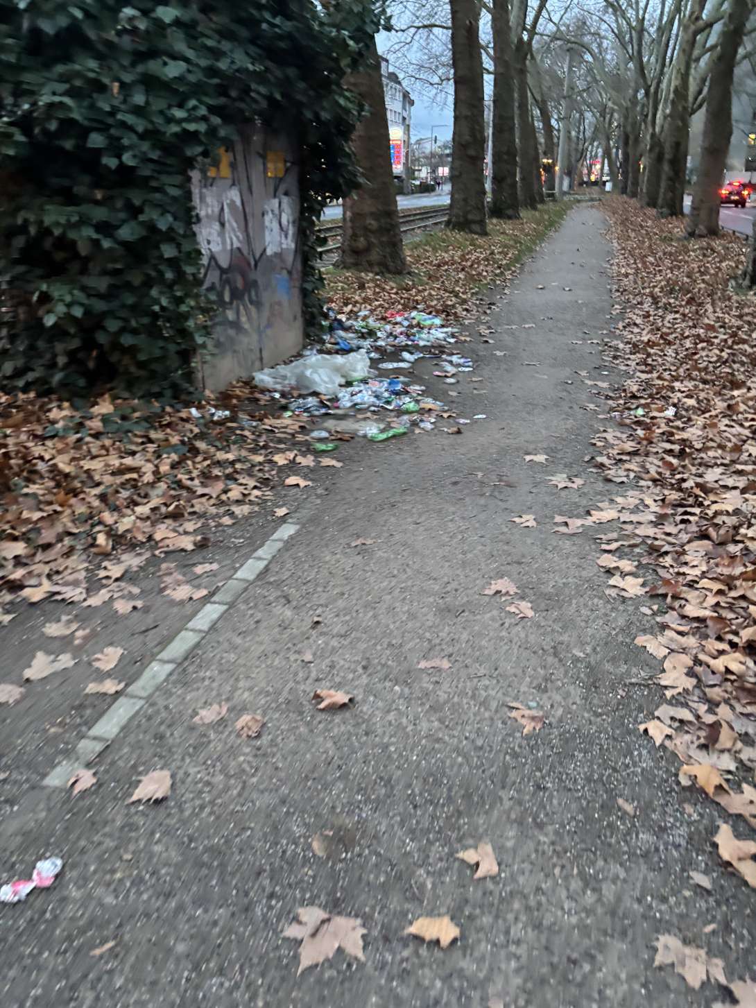 Bild zu gemeldetem Anliegen vom *2025-12-01 10:44:33