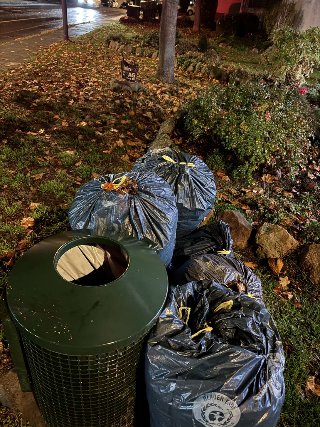 Bild zu gemeldetem Anliegen vom *2025-11-03 12:30:01