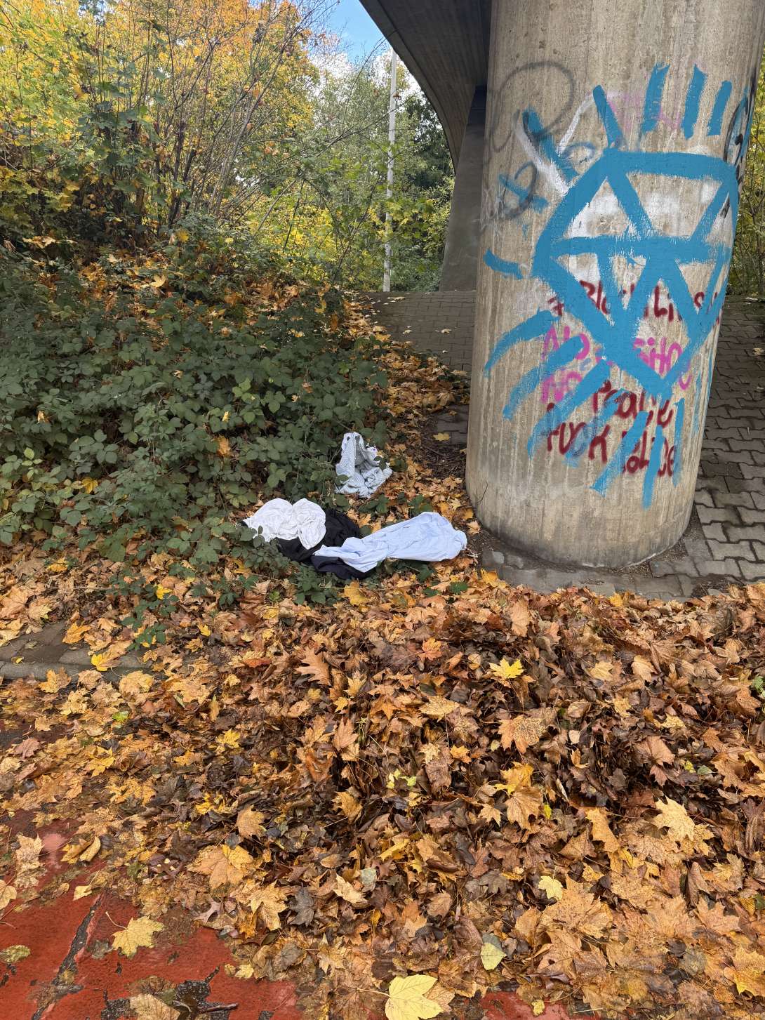 Bild zu gemeldetem Anliegen vom *2025-11-04 17:27:34