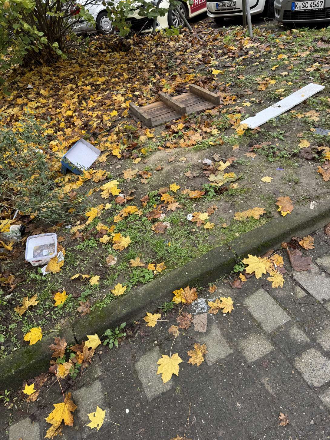 Bild zu gemeldetem Anliegen vom *2025-11-05 10:31:24