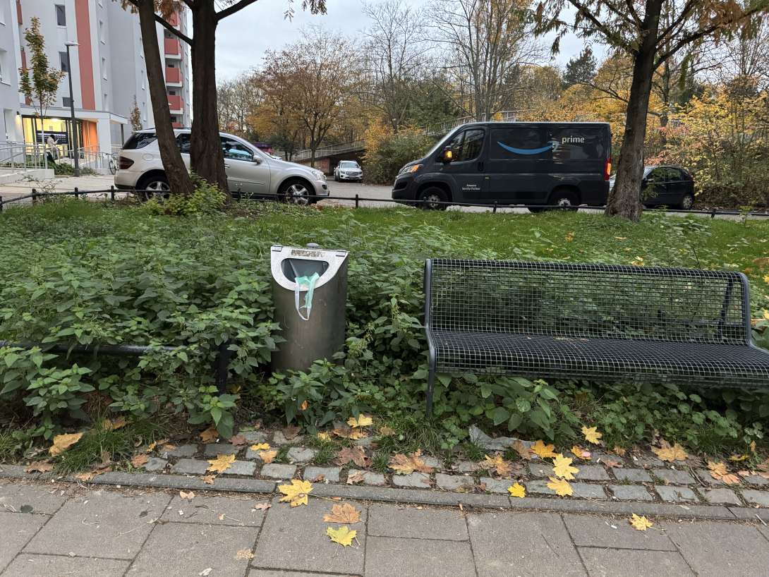 Bild zu gemeldetem Anliegen vom *2025-11-14 23:21:24