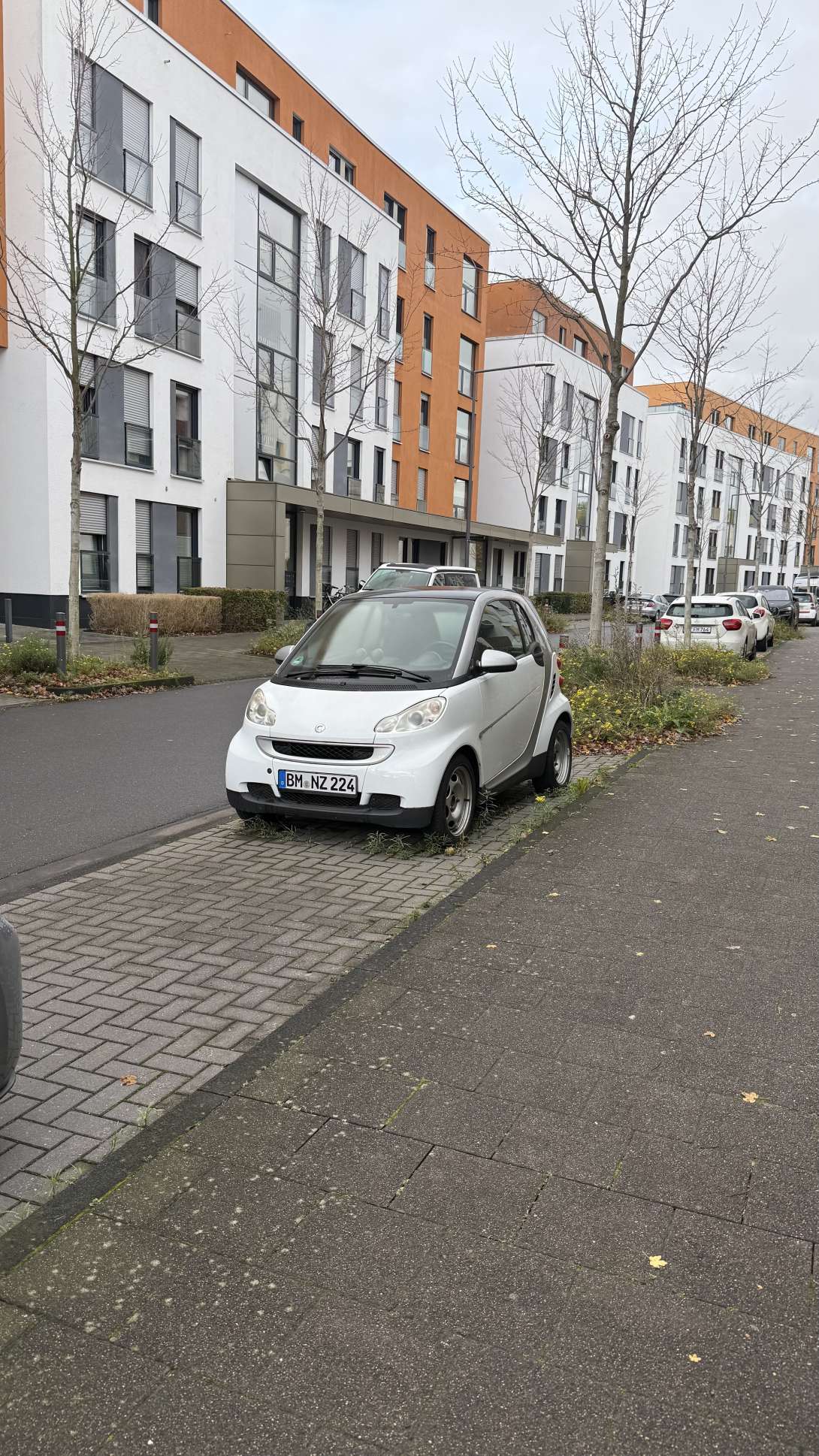 Bild zu gemeldetem Anliegen vom *2025-11-02 06:33:37