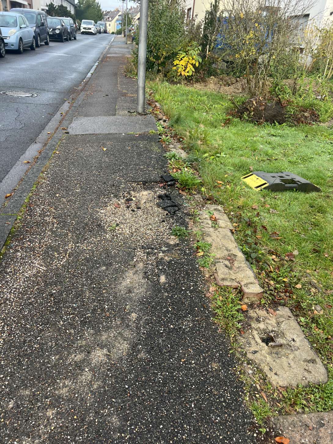 Bild zu gemeldetem Anliegen vom *2025-11-03 06:33:00