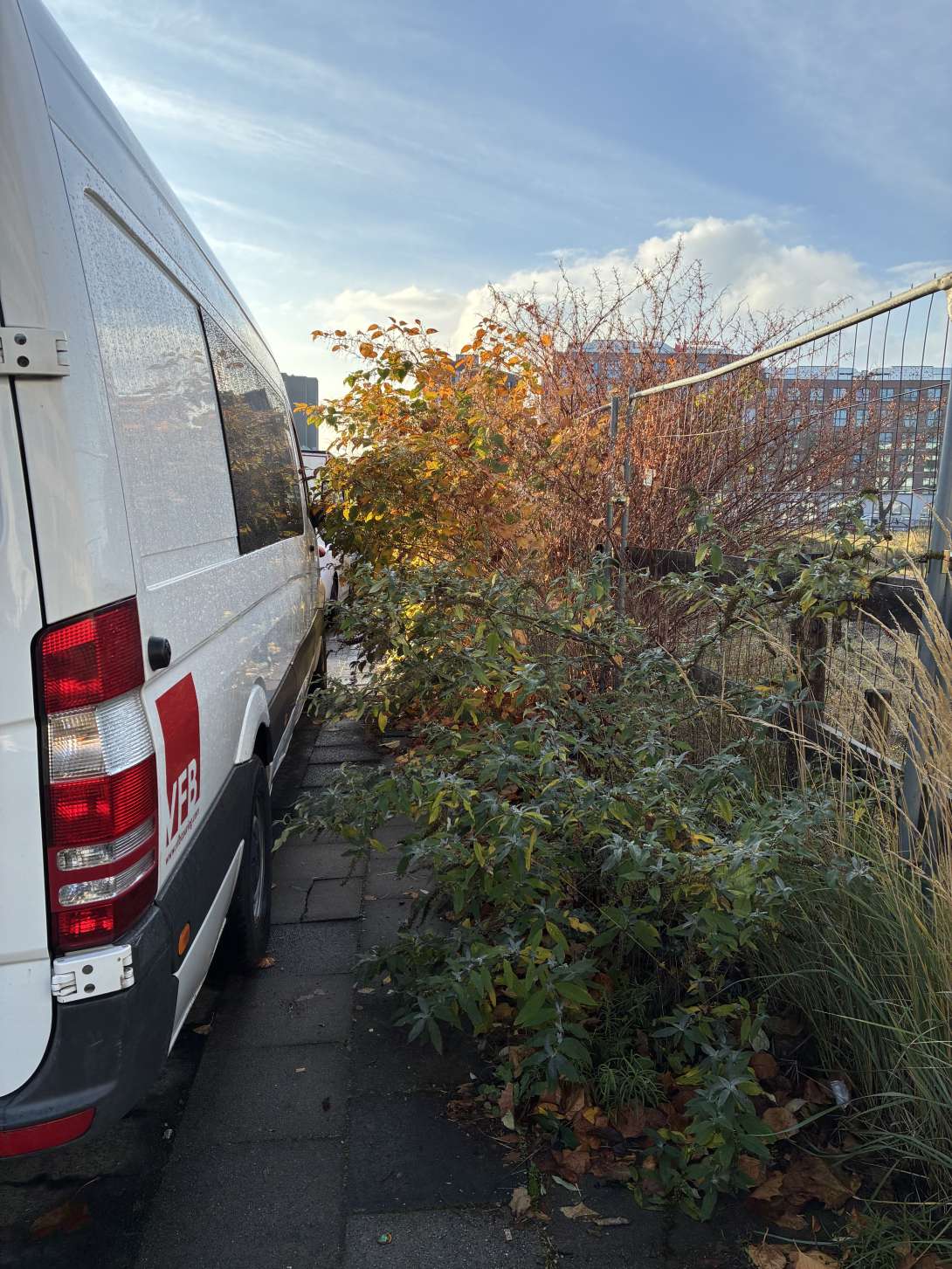 Bild zu gemeldetem Anliegen vom *2025-11-20 15:32:58