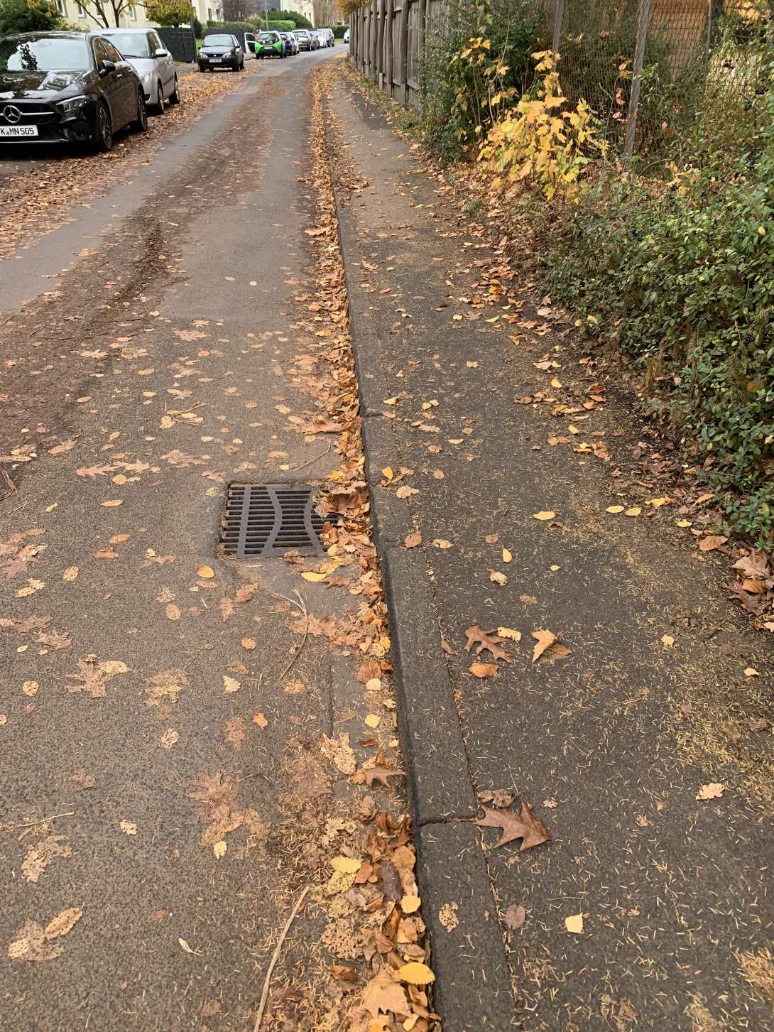 Bild zu gemeldetem Anliegen vom *2025-11-04 10:10:02