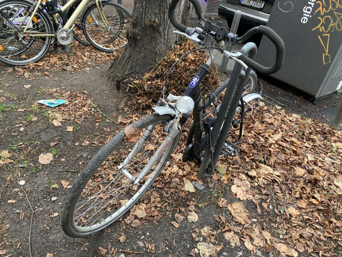 Bild zu gemeldetem Anliegen vom *2025-11-18 06:35:15