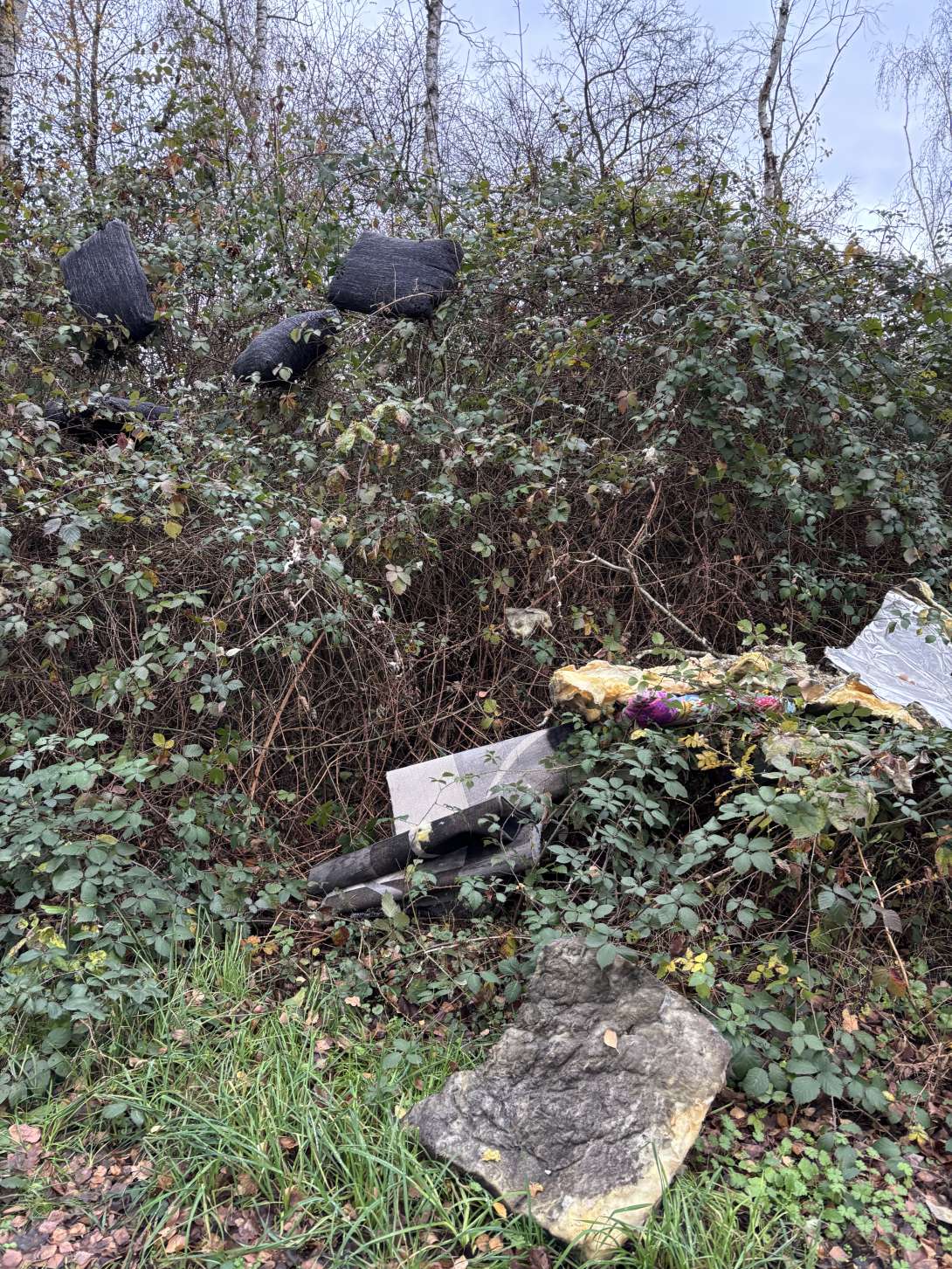 Bild zu gemeldetem Anliegen vom *2025-12-01 11:48:37