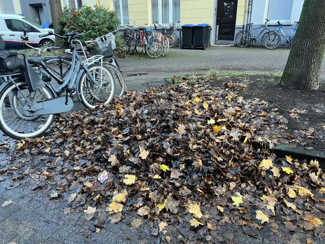 Bild zu gemeldetem Anliegen vom *2025-11-24 15:09:16