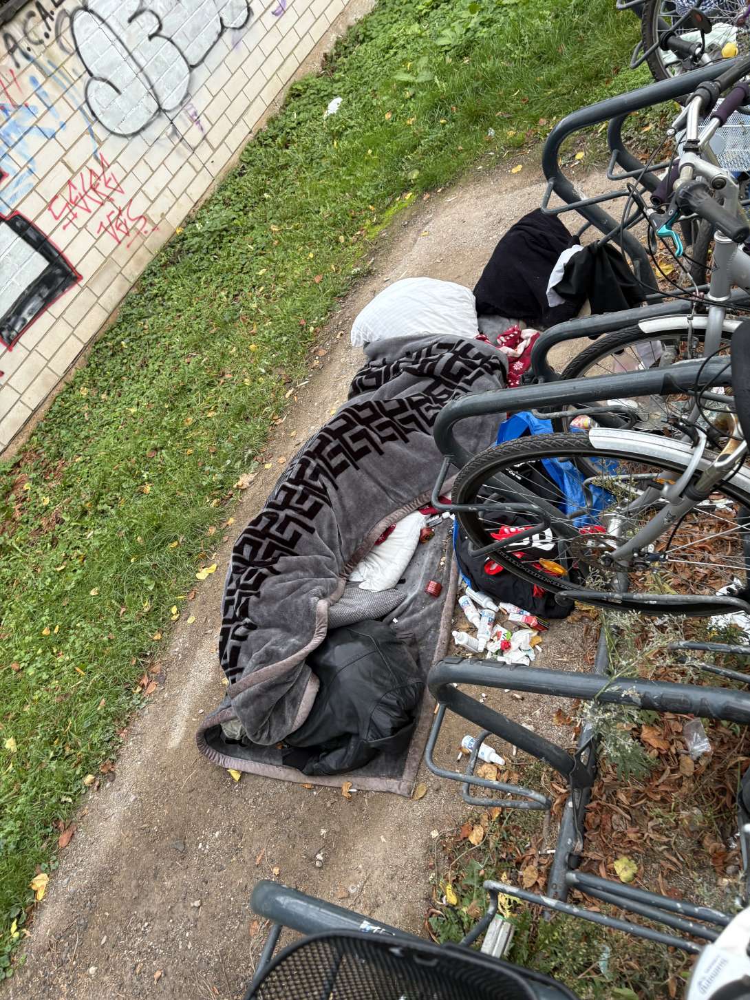 Bild zu gemeldetem Anliegen vom *2025-11-12 08:23:32