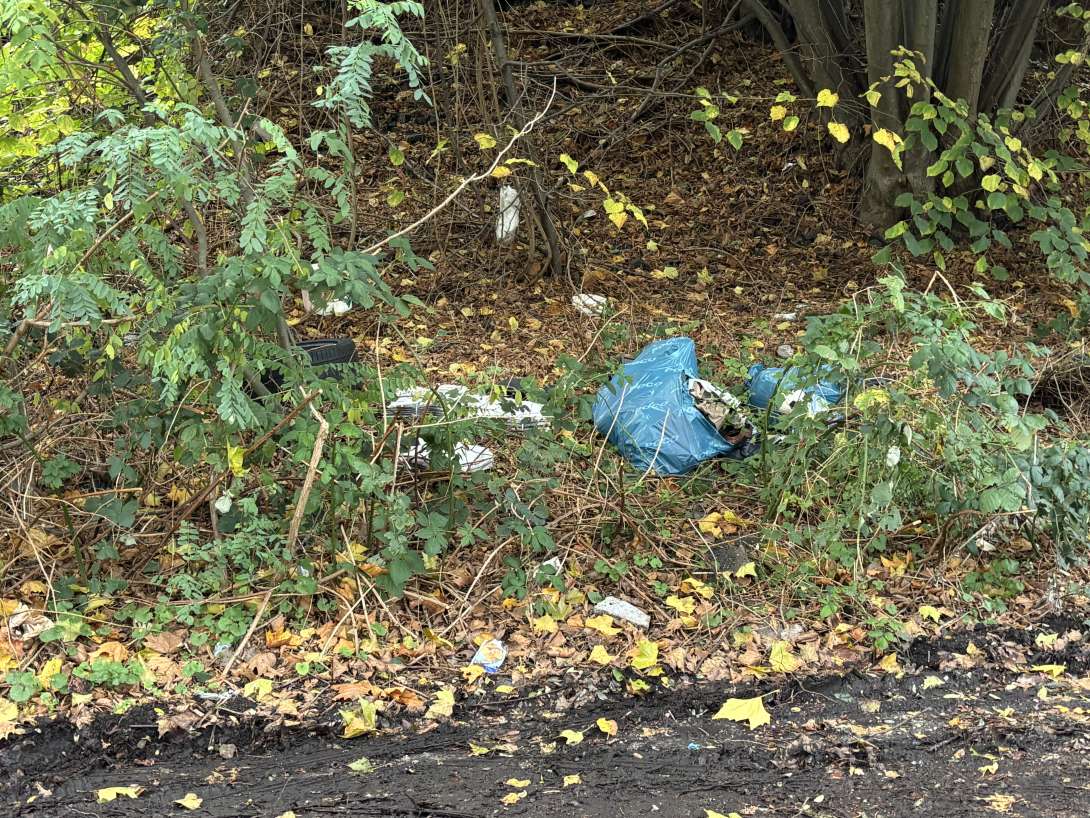 Bild zu gemeldetem Anliegen vom *2025-11-07 08:38:31