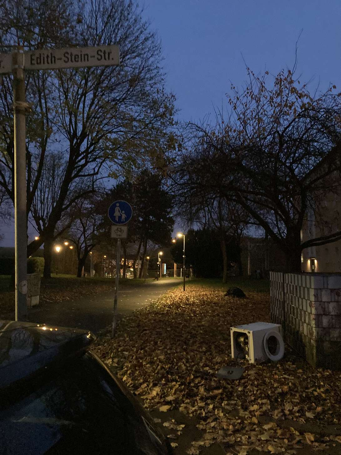 Bild zu gemeldetem Anliegen vom *2025-11-12 17:27:24