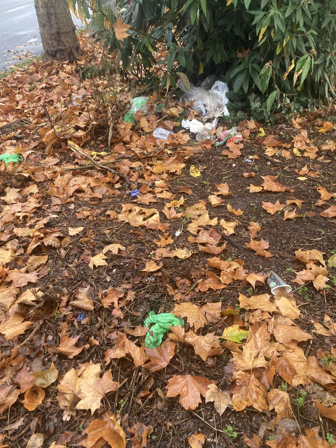 Bild zu gemeldetem Anliegen vom *2025-11-17 14:21:00