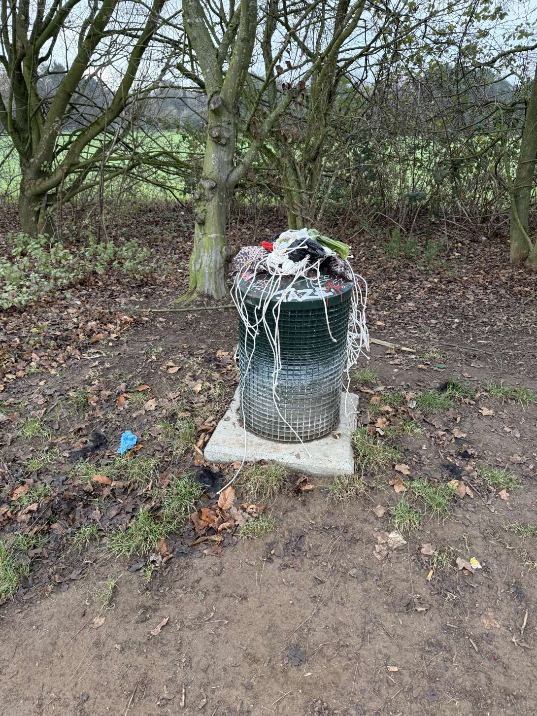 Bild zu gemeldetem Anliegen vom *2025-11-27 10:12:16