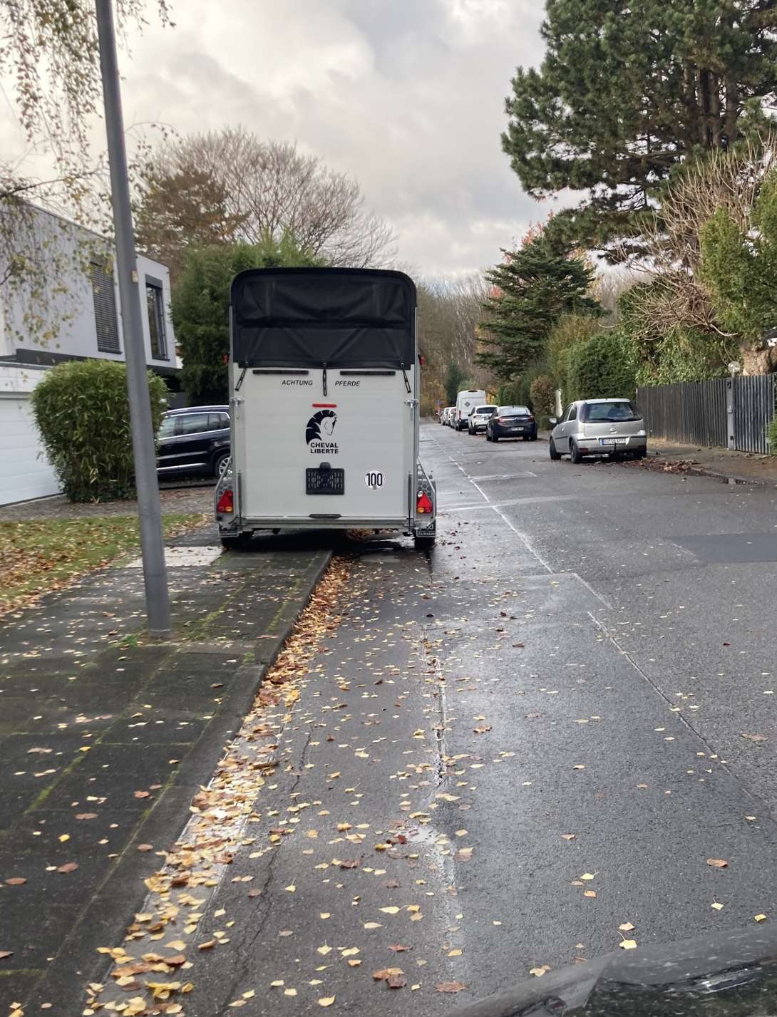 Bild zu gemeldetem Anliegen vom *2025-11-17 17:06:30