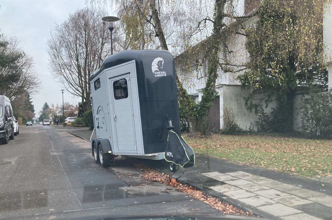 Bild zu gemeldetem Anliegen vom *2025-11-26 18:57:45