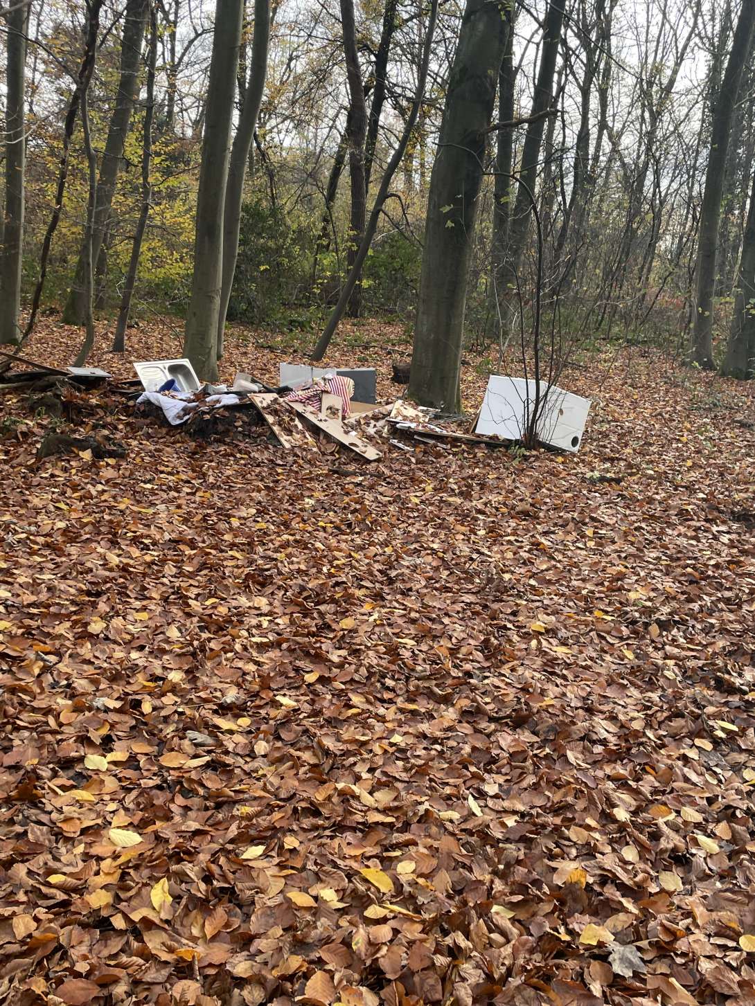 Bild zu gemeldetem Anliegen vom *2025-11-13 06:10:52