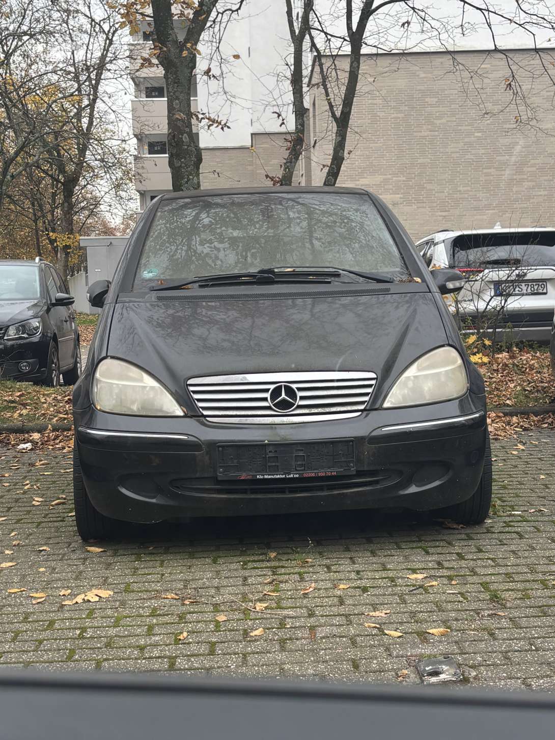 Bild zu gemeldetem Anliegen vom *2025-11-17 15:34:49