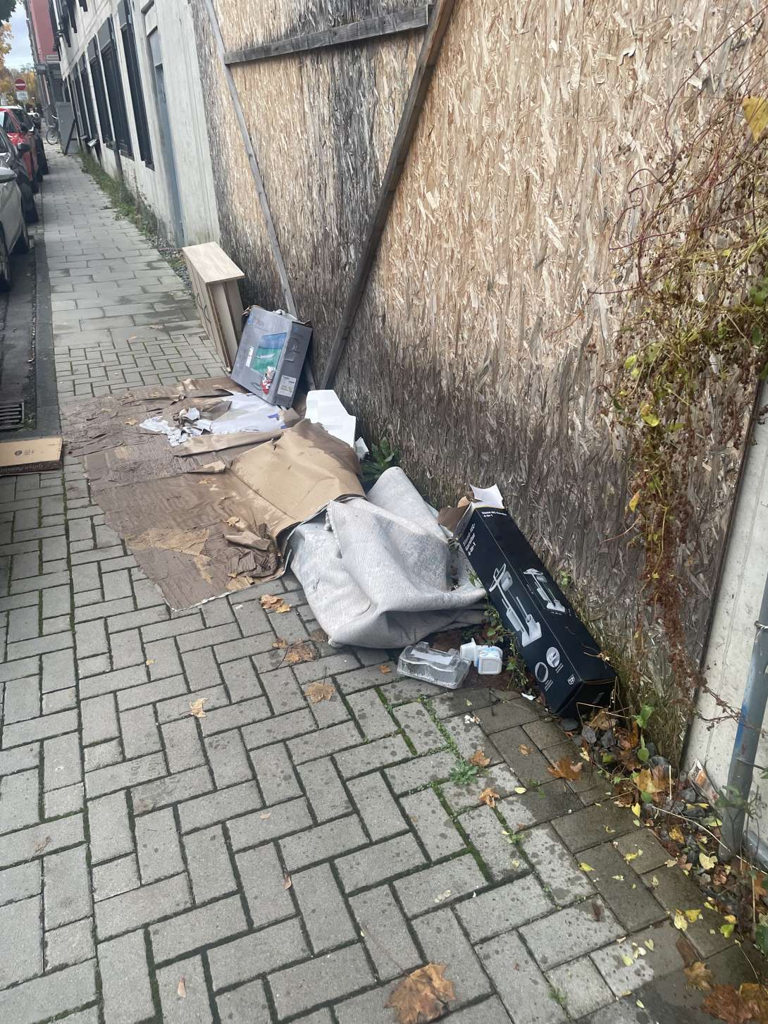 Bild zu gemeldetem Anliegen vom *2025-11-03 12:06:46