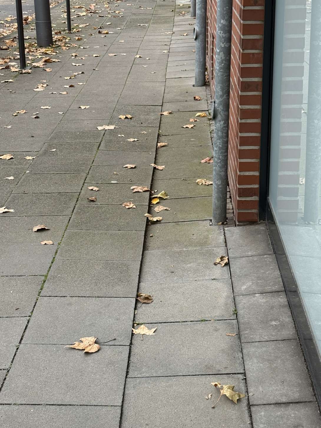 Bild zu gemeldetem Anliegen vom *2025-11-04 11:24:19