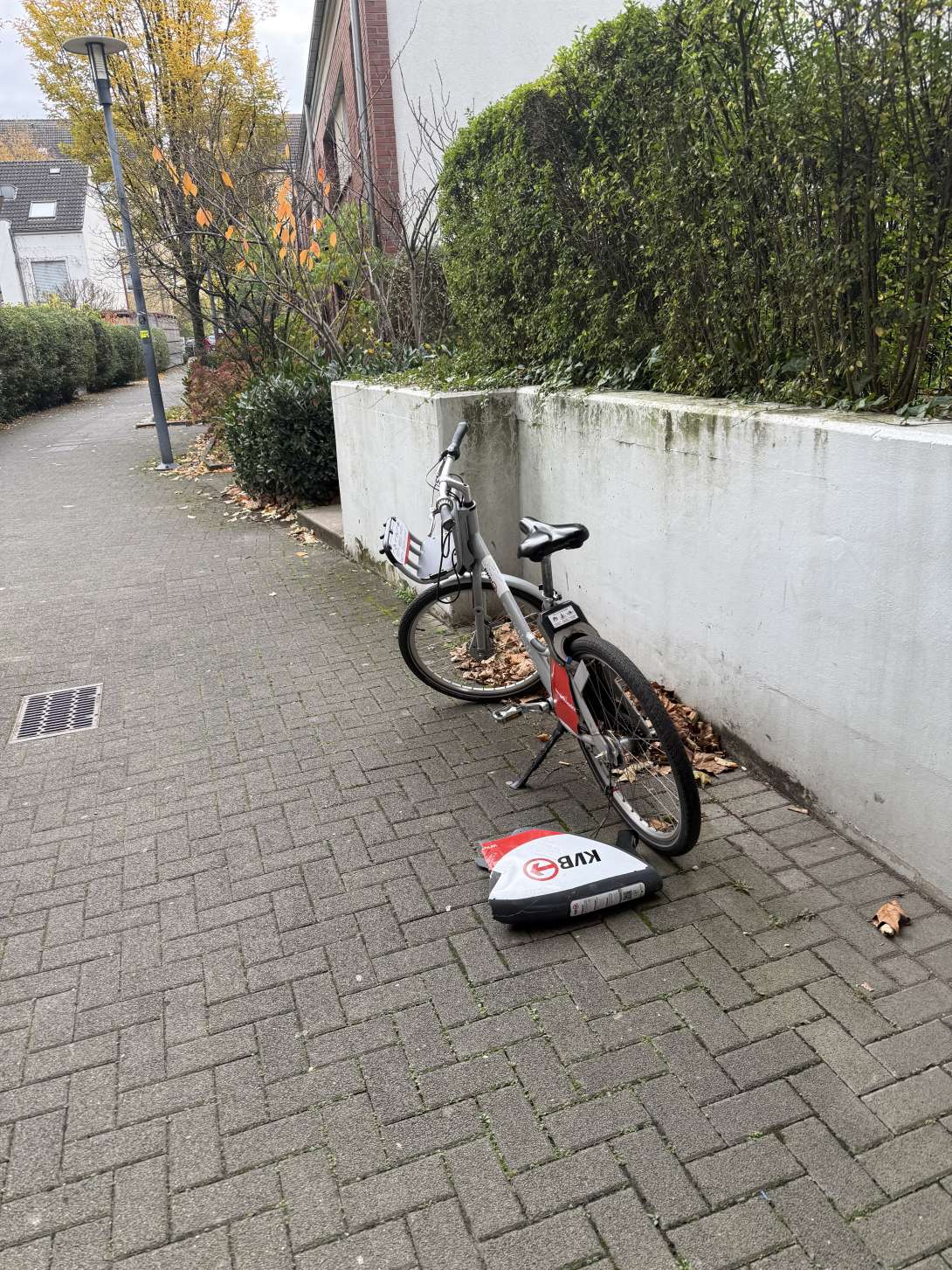 Bild zu gemeldetem Anliegen vom *2025-11-04 09:28:54