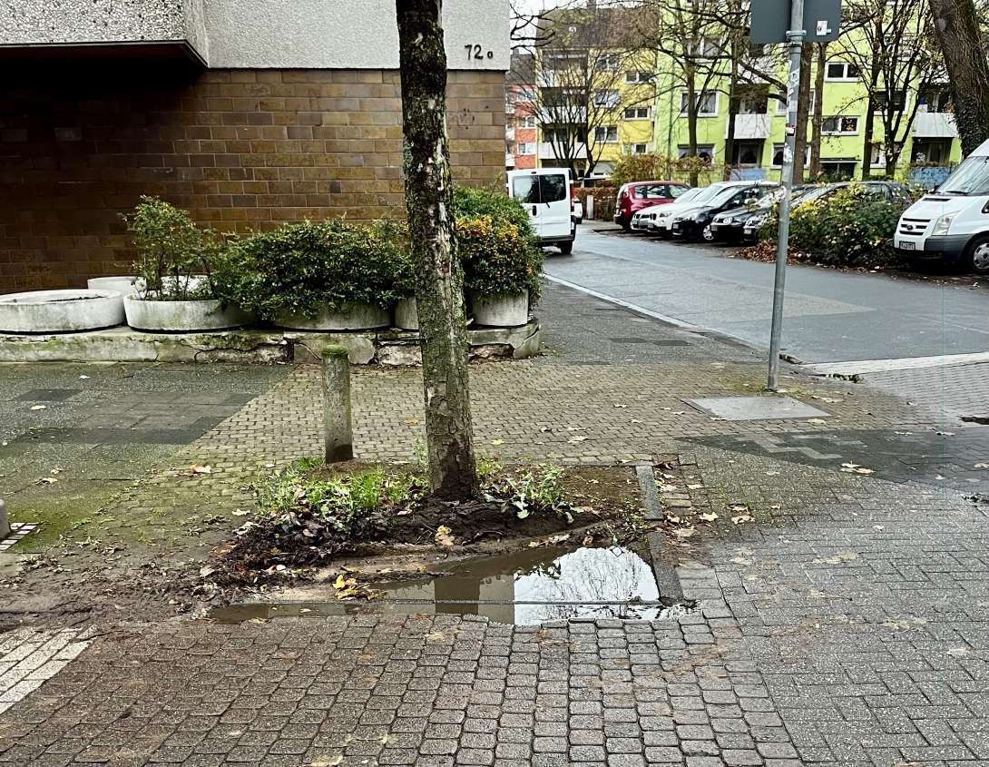 Bild zu gemeldetem Anliegen vom *2025-11-25 18:34:50