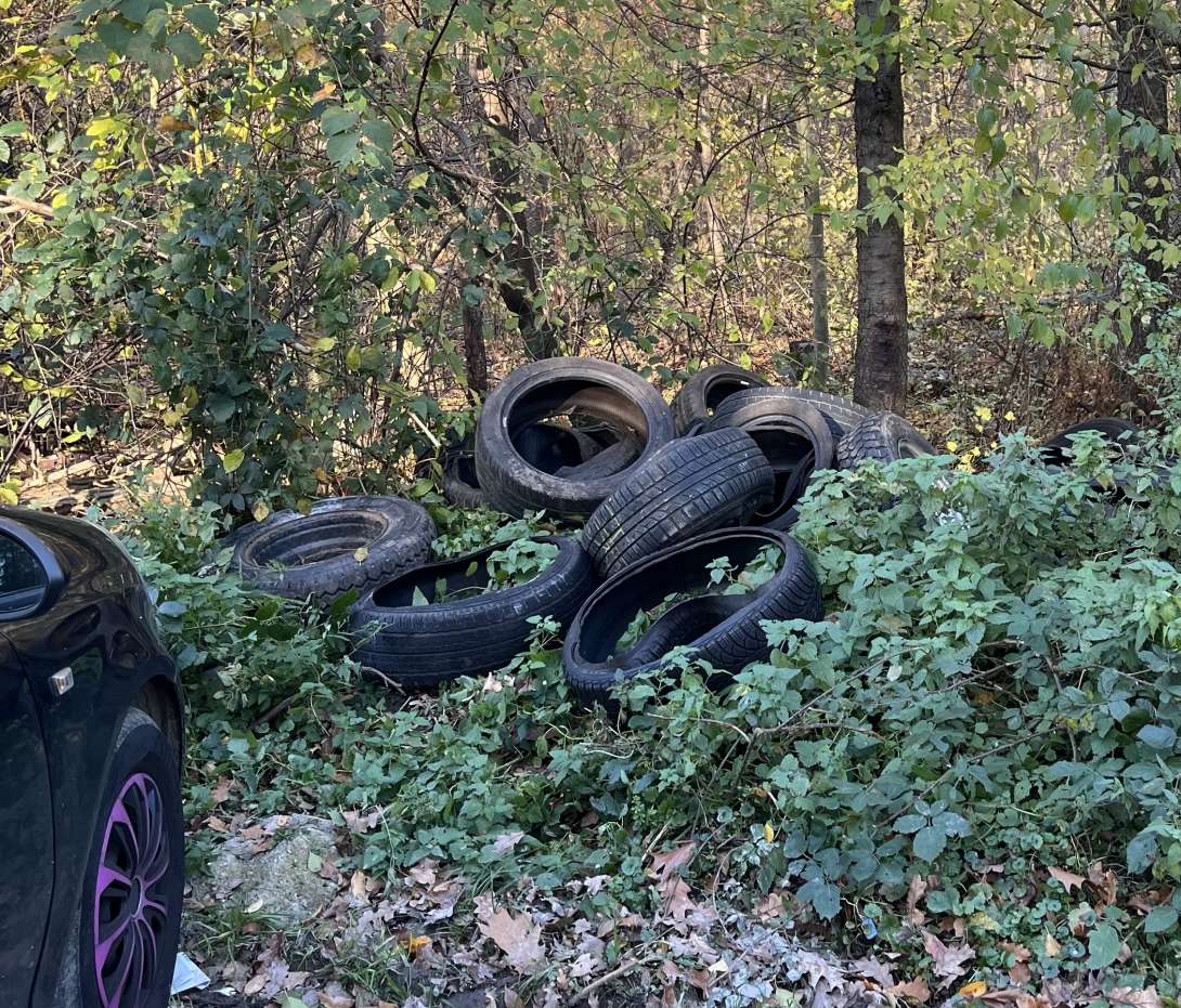 Bild zu gemeldetem Anliegen vom *2025-11-10 11:19:55