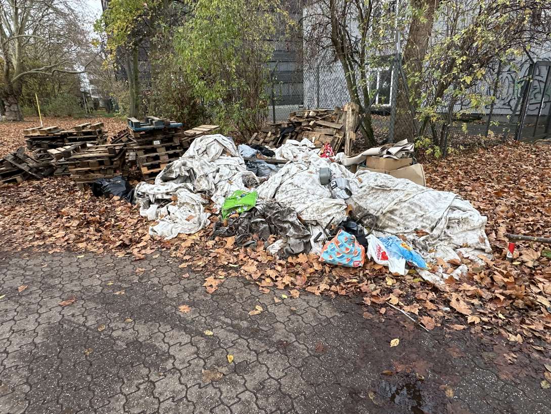 Bild zu gemeldetem Anliegen vom *2025-12-01 10:41:18