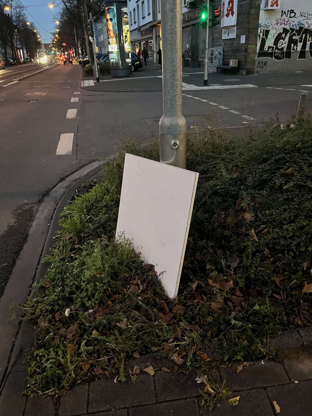 Bild zu gemeldetem Anliegen vom *2025-11-24 13:22:43