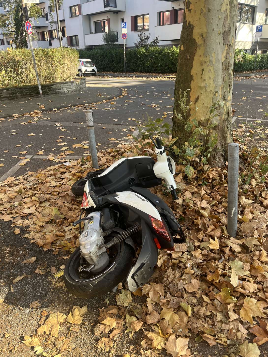 Bild zu gemeldetem Anliegen vom *2025-11-08 09:27:22