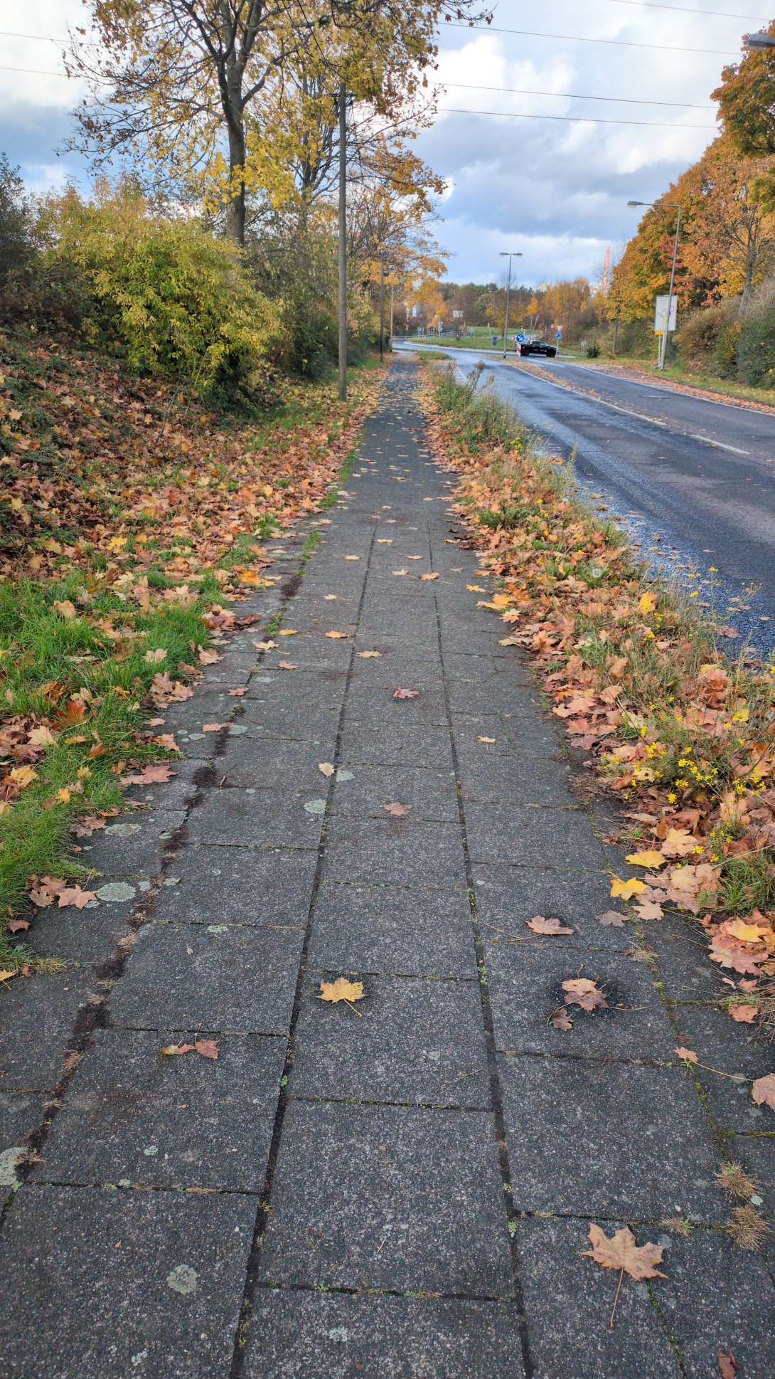 Bild zu gemeldetem Anliegen vom *2025-11-02 12:55:22