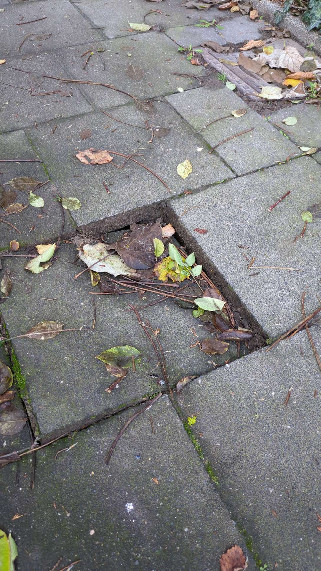 Bild zu gemeldetem Anliegen vom *2025-11-21 15:41:22