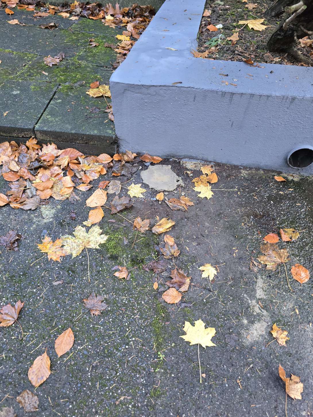 Bild zu gemeldetem Anliegen vom *2025-11-24 06:31:56