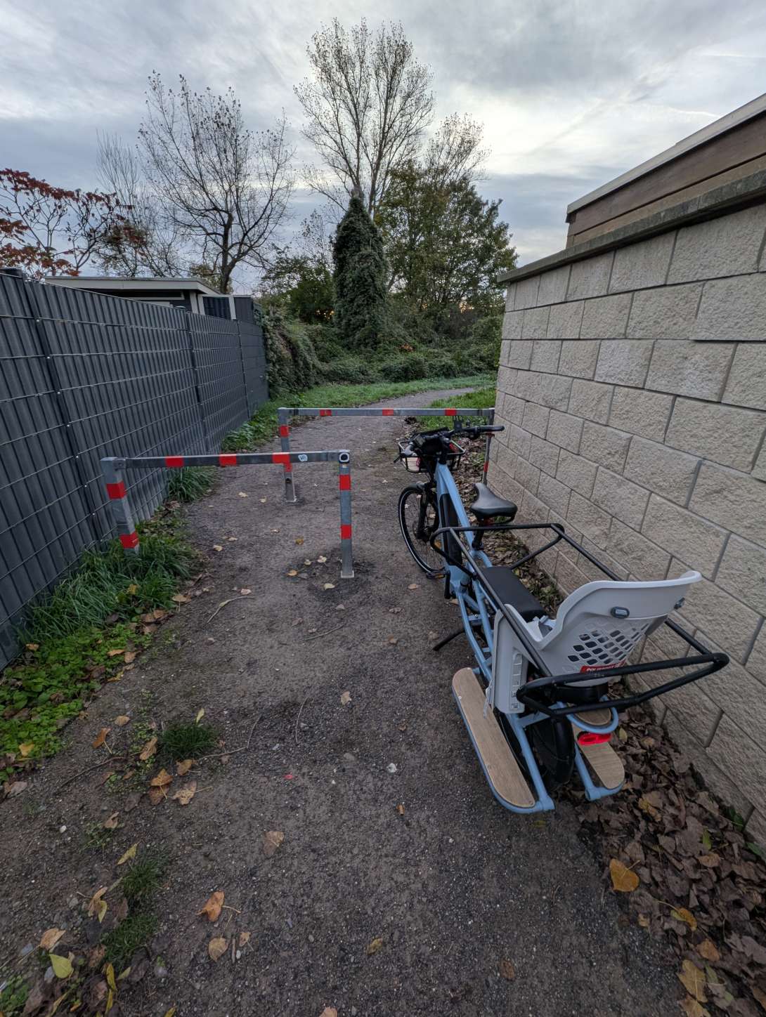 Bild zu gemeldetem Anliegen vom *2025-11-01 18:36:19