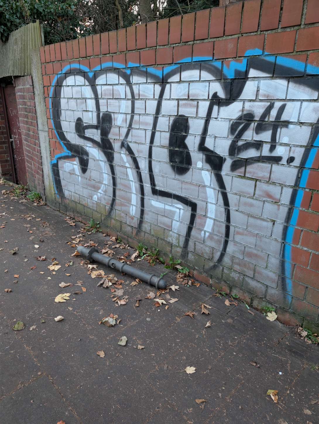 Bild zu gemeldetem Anliegen vom *2025-11-29 08:30:27