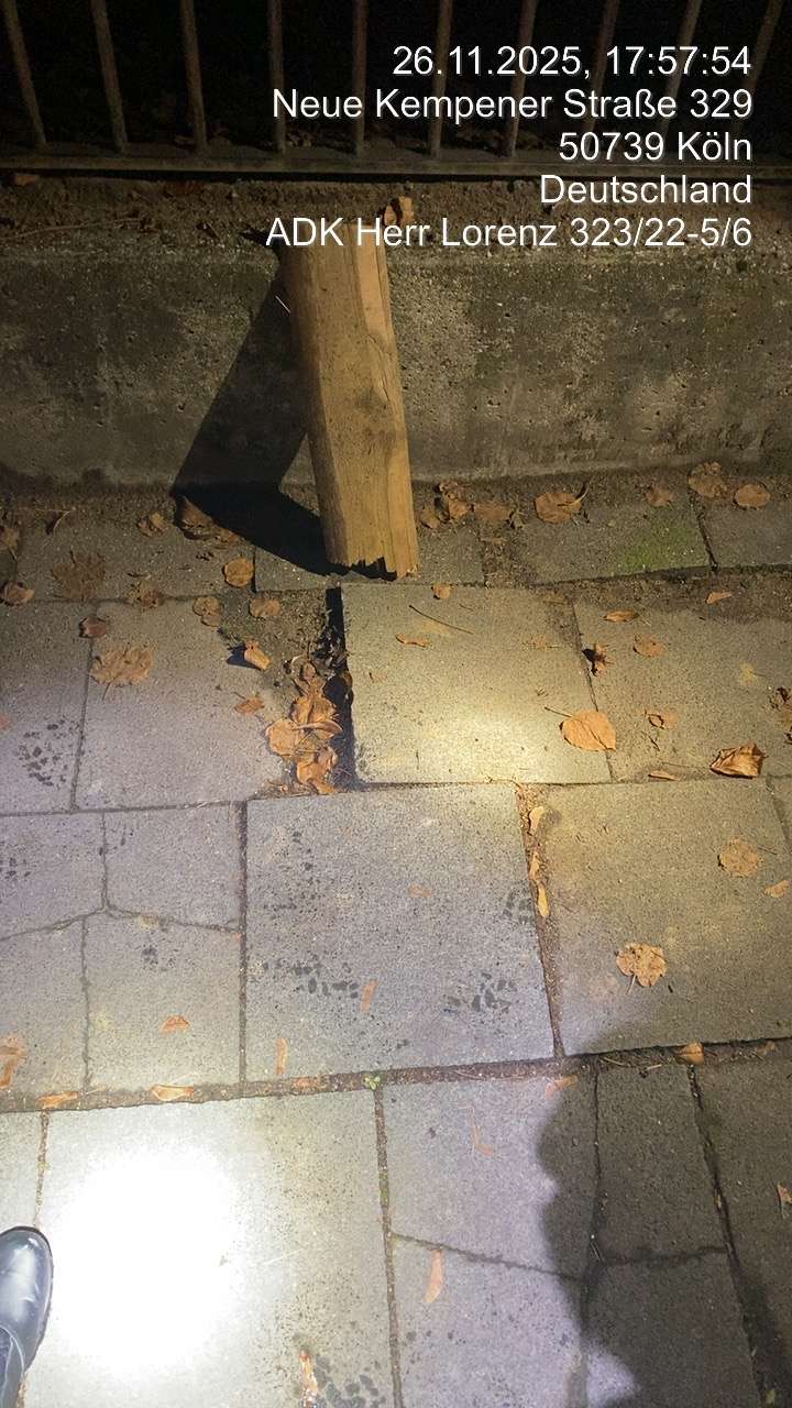 Bild zu gemeldetem Anliegen vom *2025-11-26 15:32:09