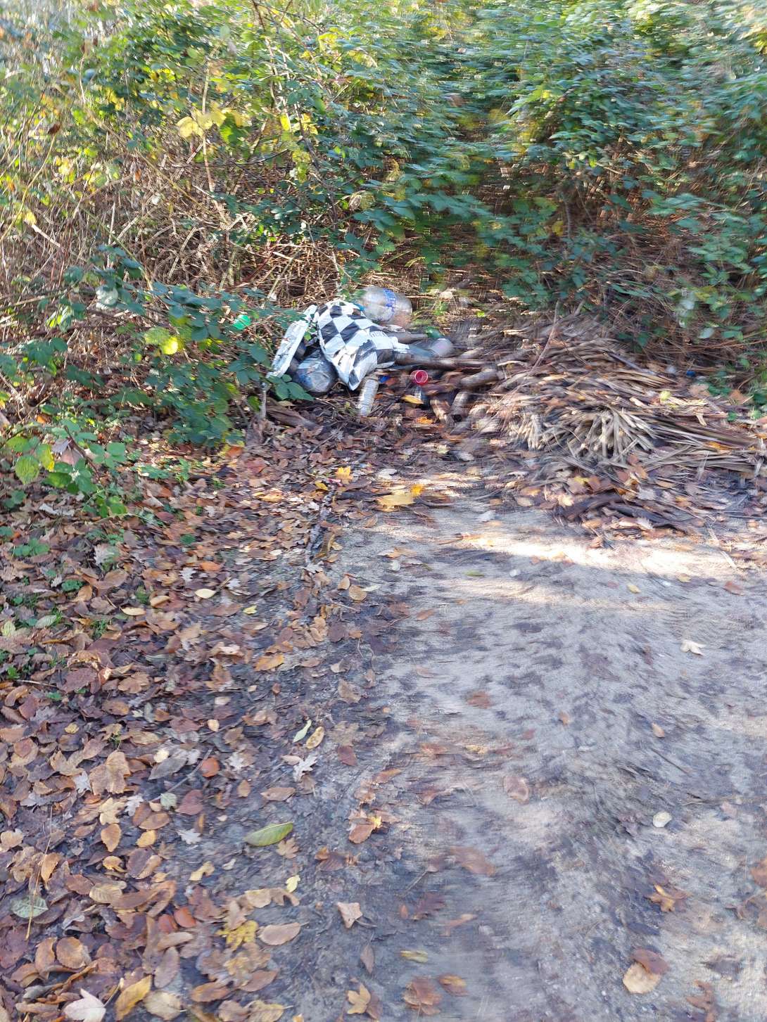 Bild zu gemeldetem Anliegen vom *2025-11-10 08:34:46